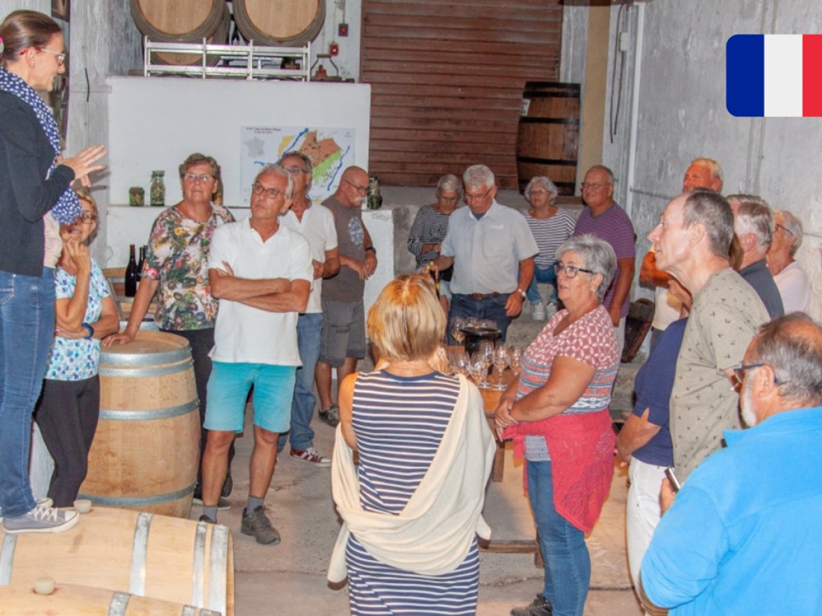 Visite de la cave (chais de vinification) et Dégustation de vin - Vignerons Indépendants