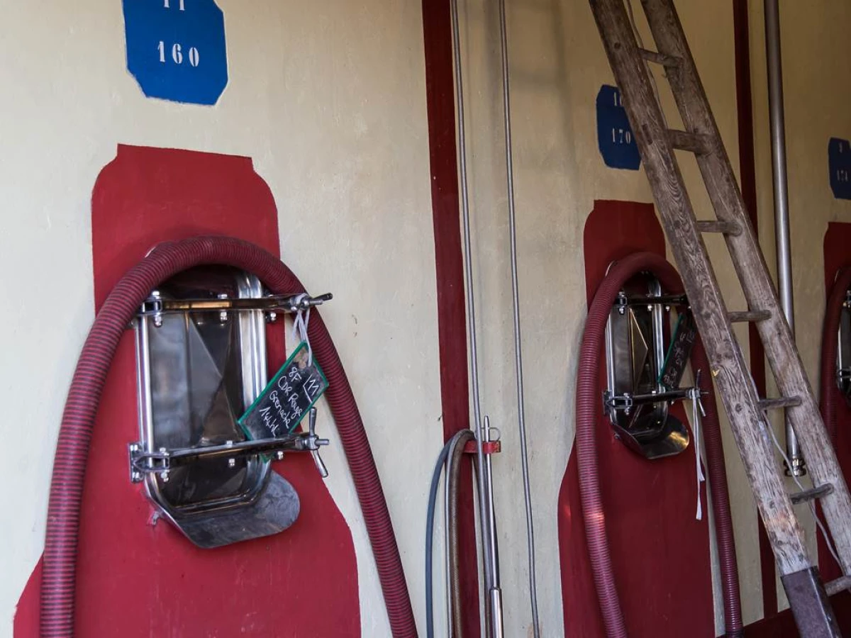 Visite de la cave (chais de vinification) et Dégustation de vin - Vignerons Indépendants