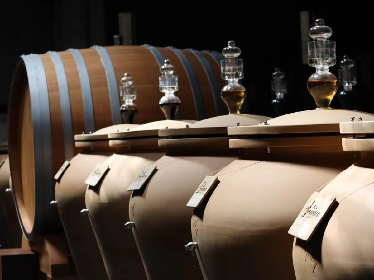 Visite de la cave et dégustation des 15 cuvées - Vignerons Indépendants