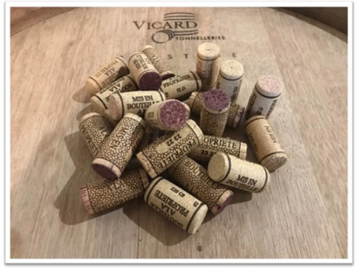 Visite de la propriété et dégustation de 7 vins - Vignerons Indépendants