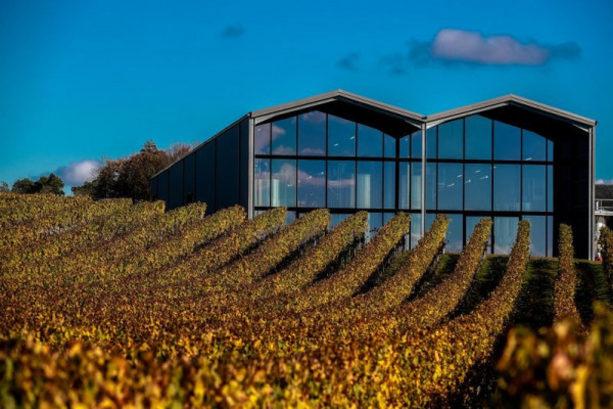 Visite de la Terre au Verre - Vignerons Indépendants