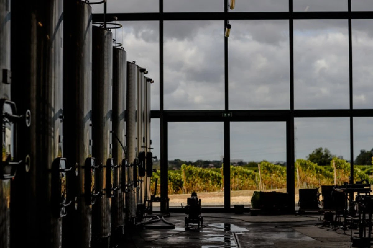 Visite de la Terre au Verre - Vignerons Indépendants