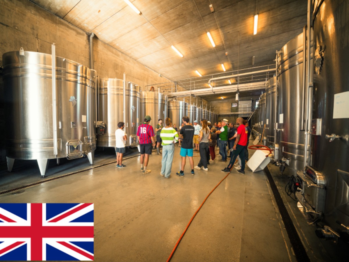 Visite découverte en Anglais - Vignerons Indépendants