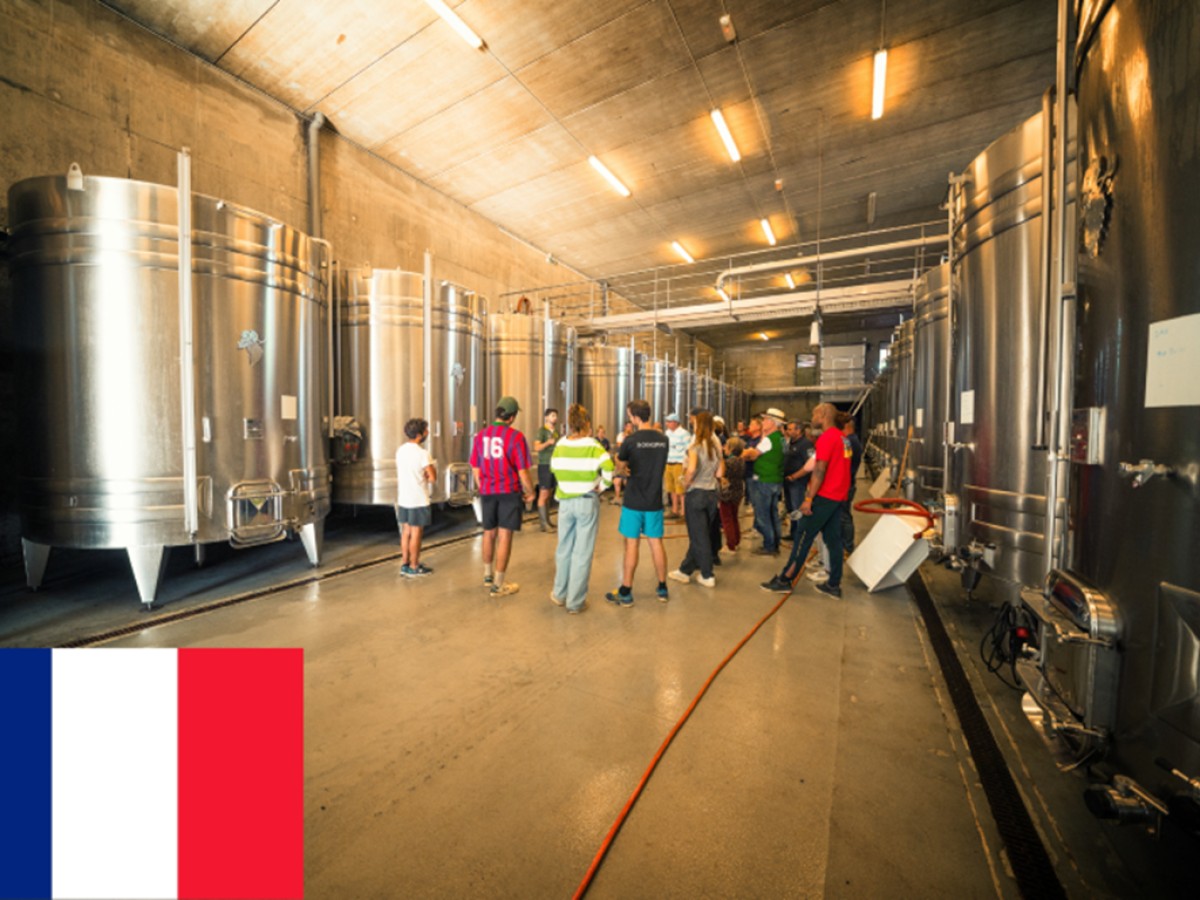 Visite Découverte en Français - Vignerons Indépendants