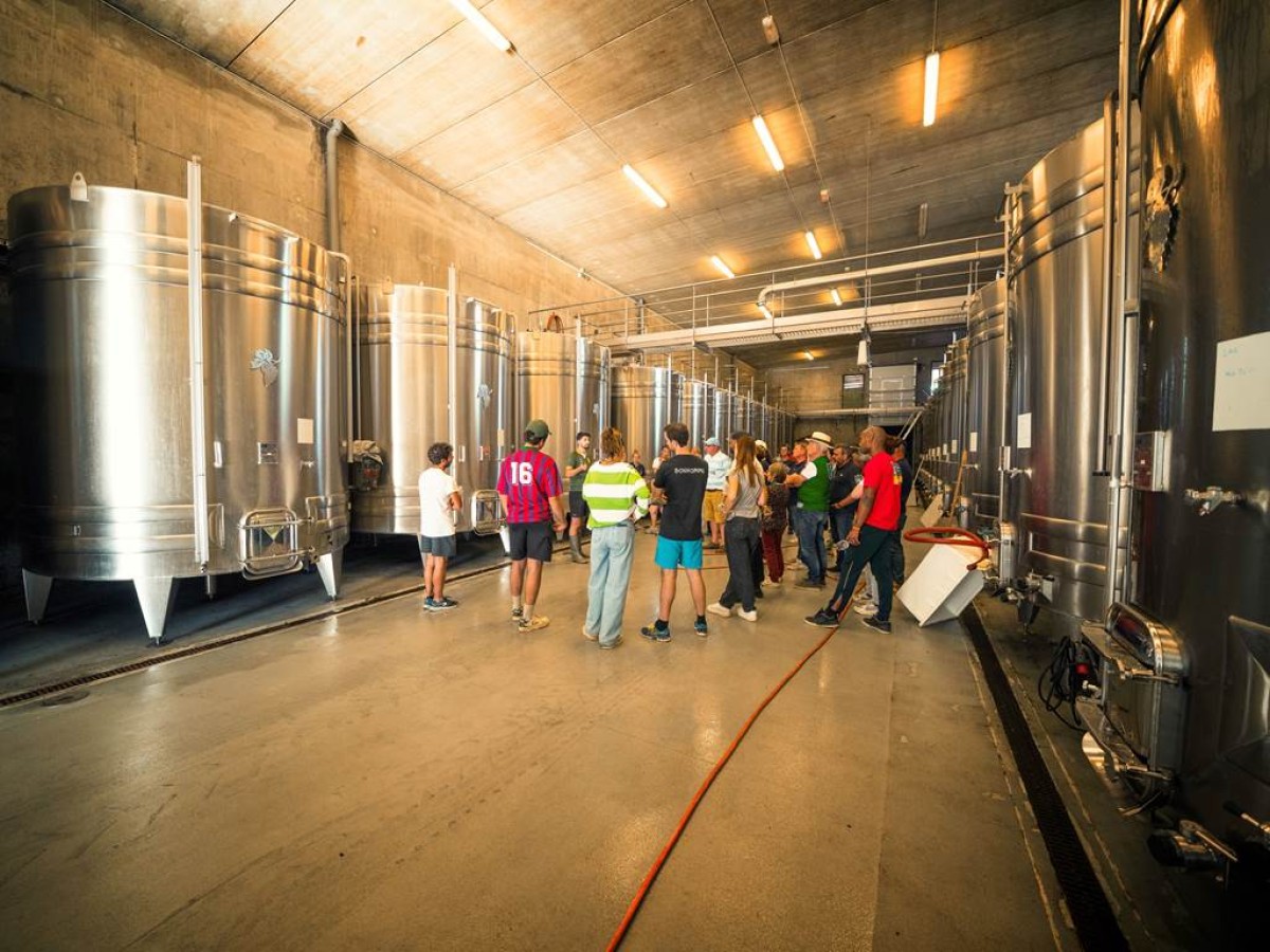 Visite Découverte en Français - Vignerons Indépendants