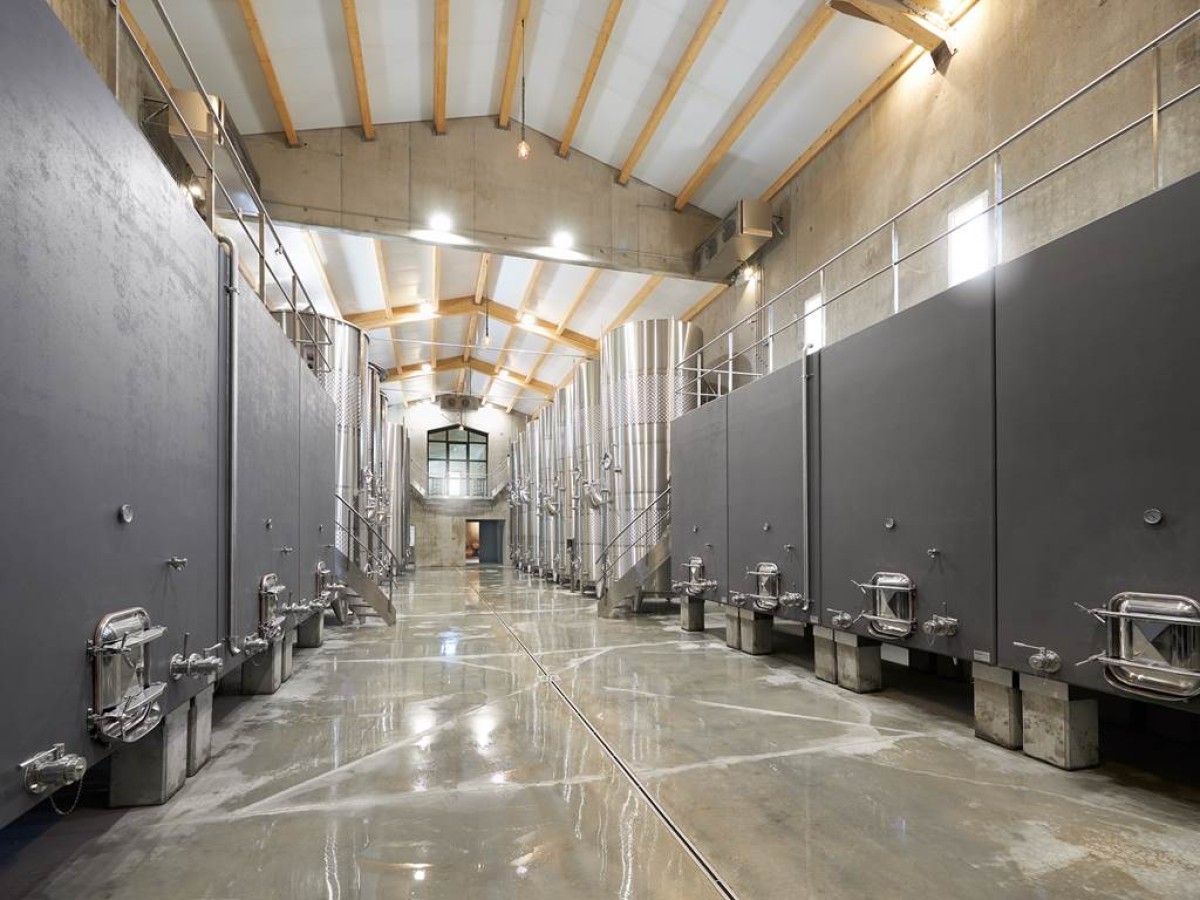 Visite découverte - Vignerons Indépendants