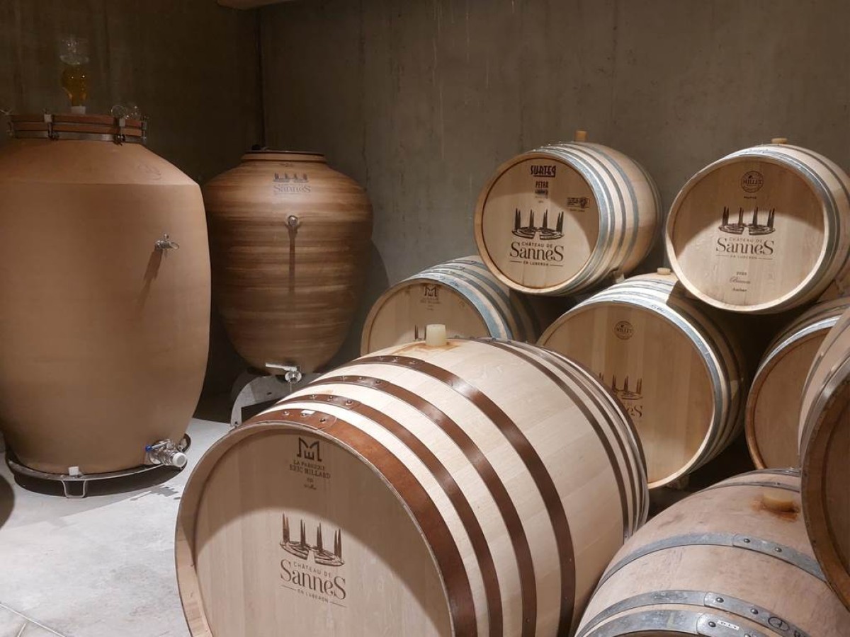 Visite découverte - Vignerons Indépendants