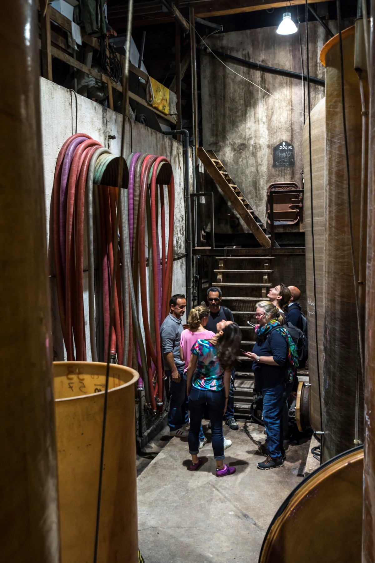 Visite-dégustation au domaine - Vignerons Indépendants