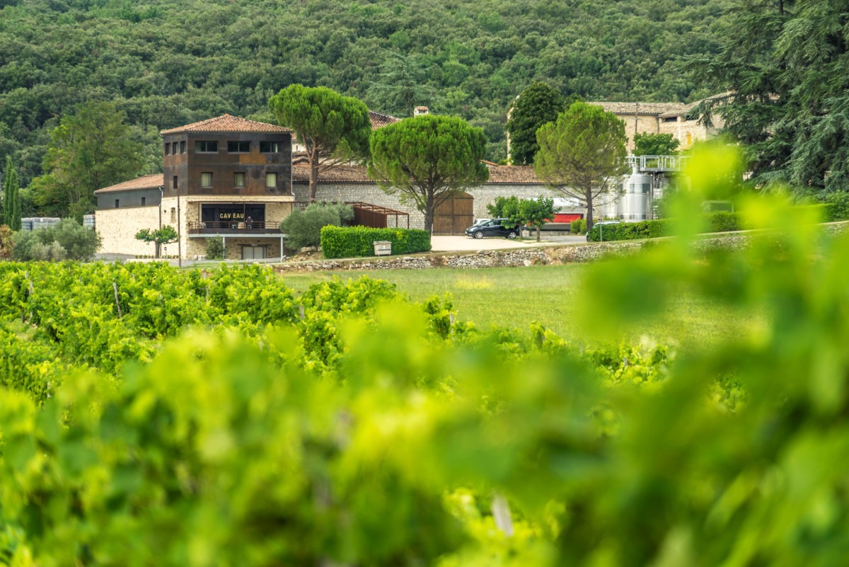 Visite-dégustation au domaine - Vignerons Indépendants