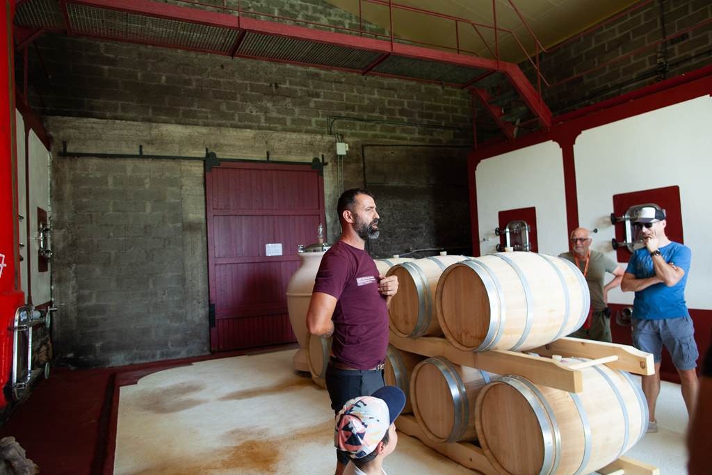 Visite, dégustation de 3 vins et vol en réalité virtuelle - Vignerons Indépendants