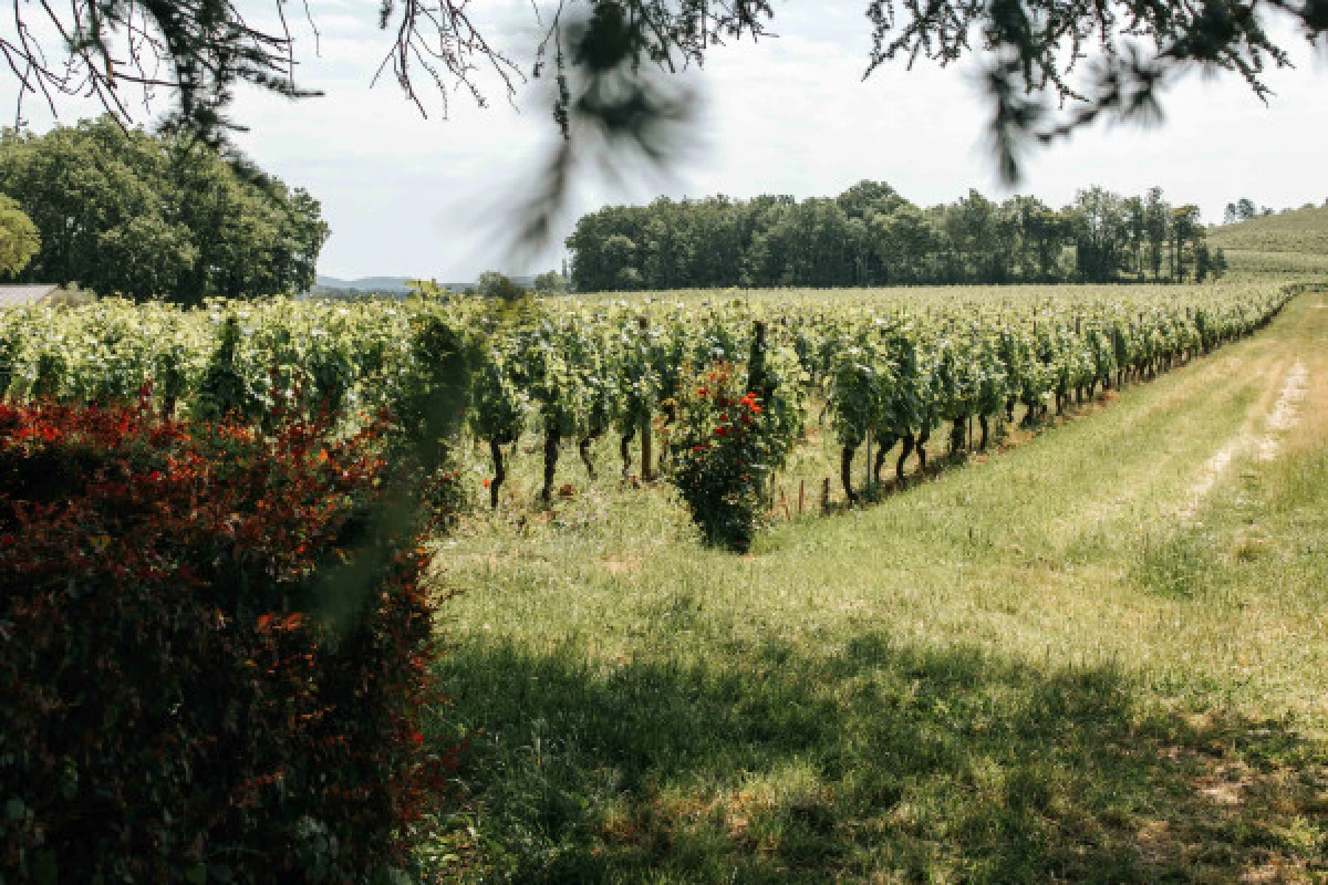 Visite Dégustation Prestige - Français - Vignerons Indépendants