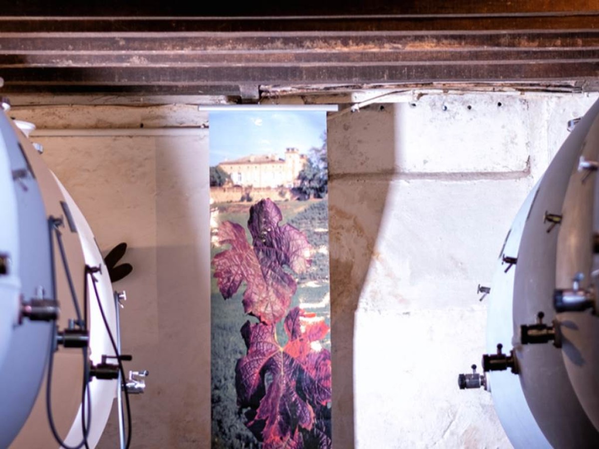 Visite & Dégustation - Vignerons Indépendants