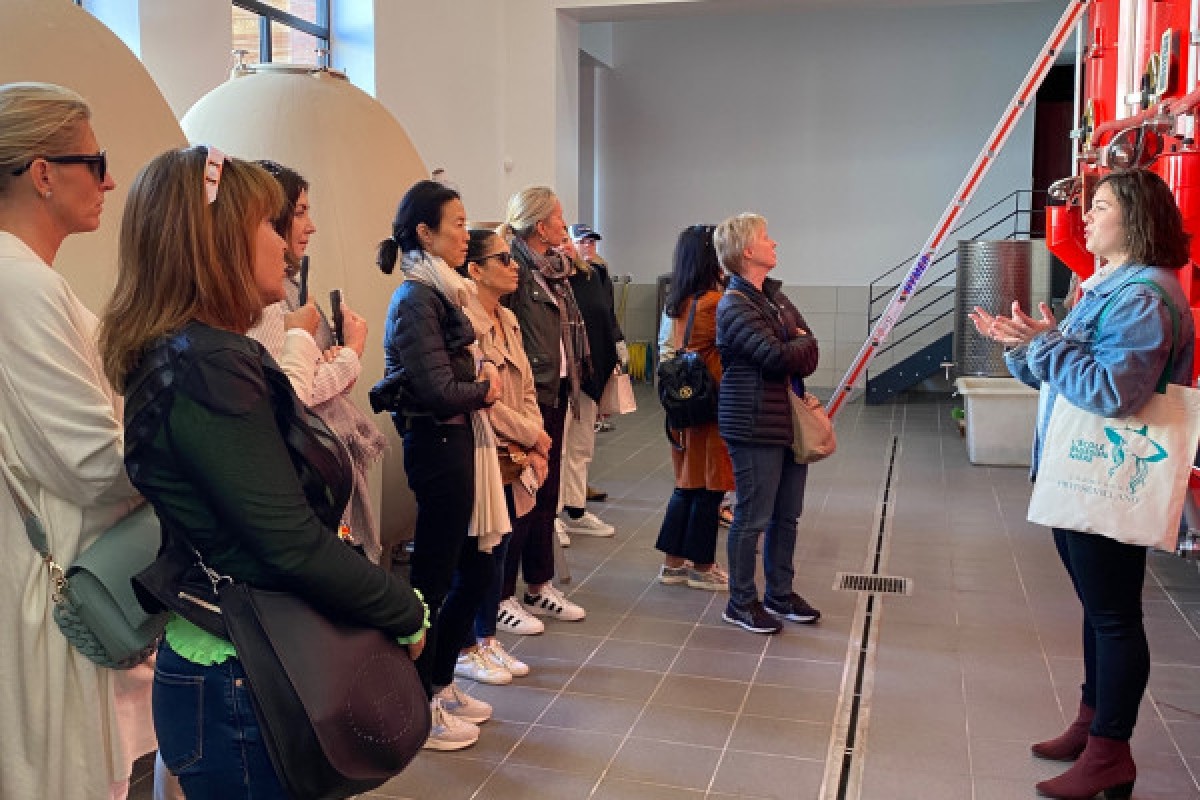 Visite & Dégustation - Vignerons Indépendants