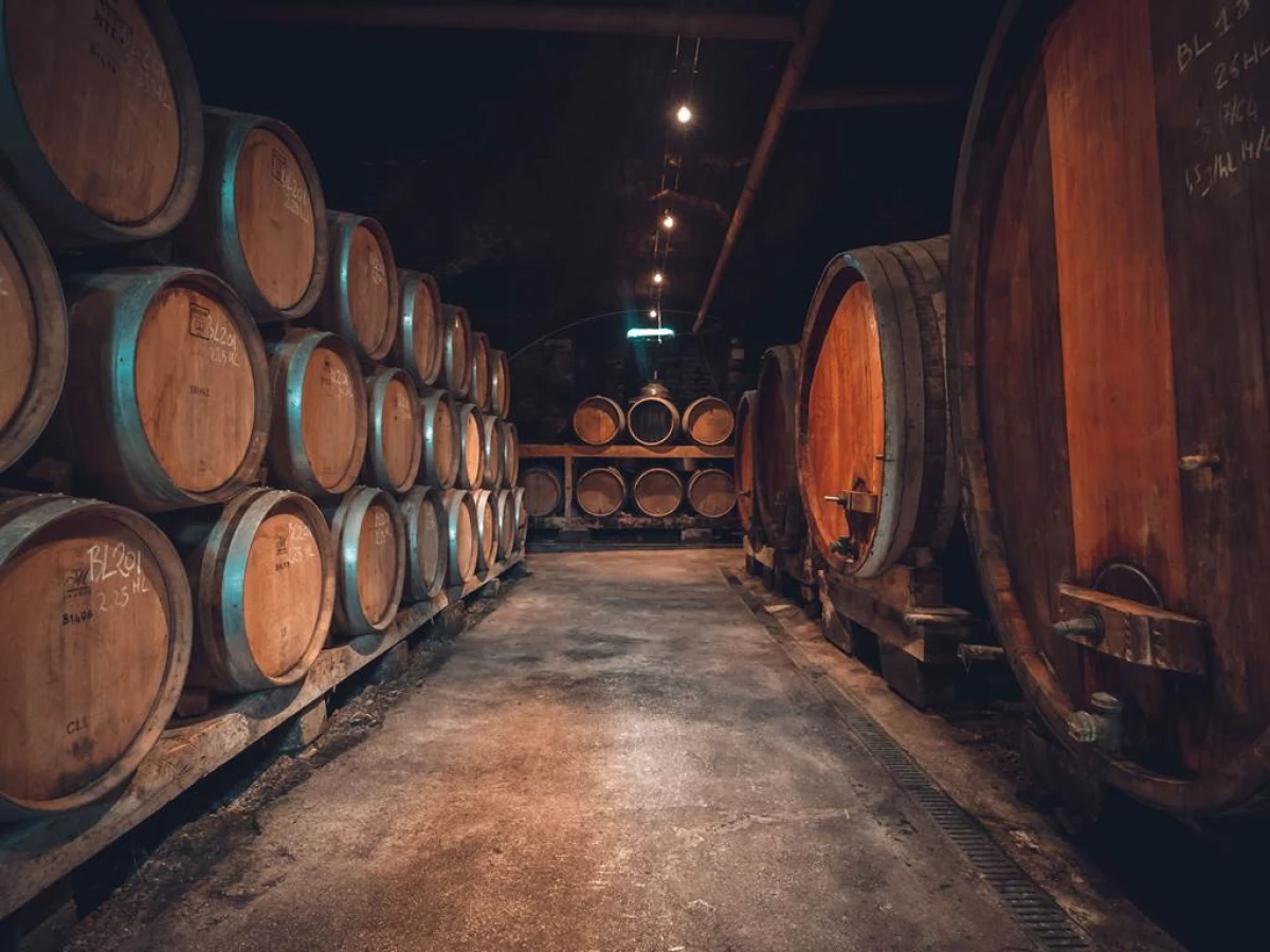 Visite des caves + dégustation - Vignerons Indépendants