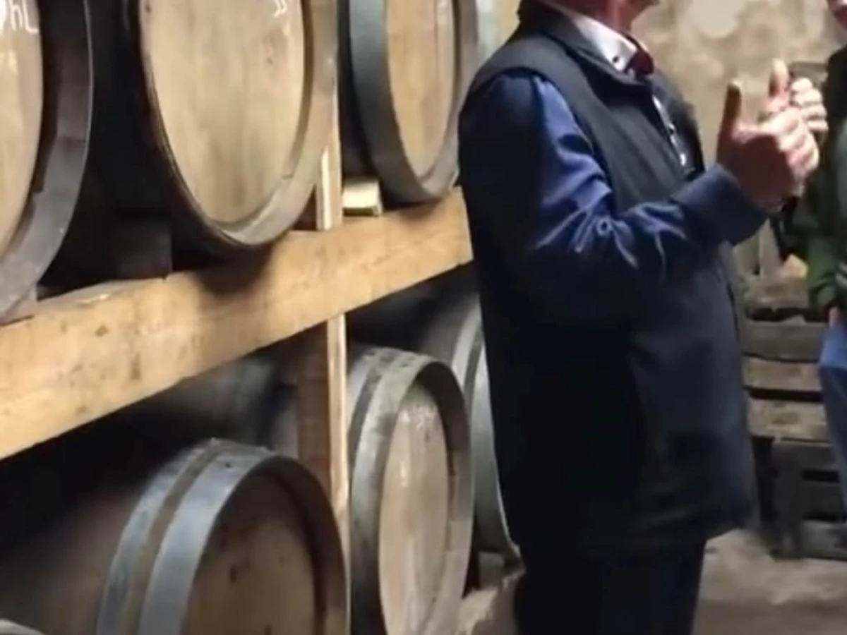 Visite des caves + dégustation - Vignerons Indépendants