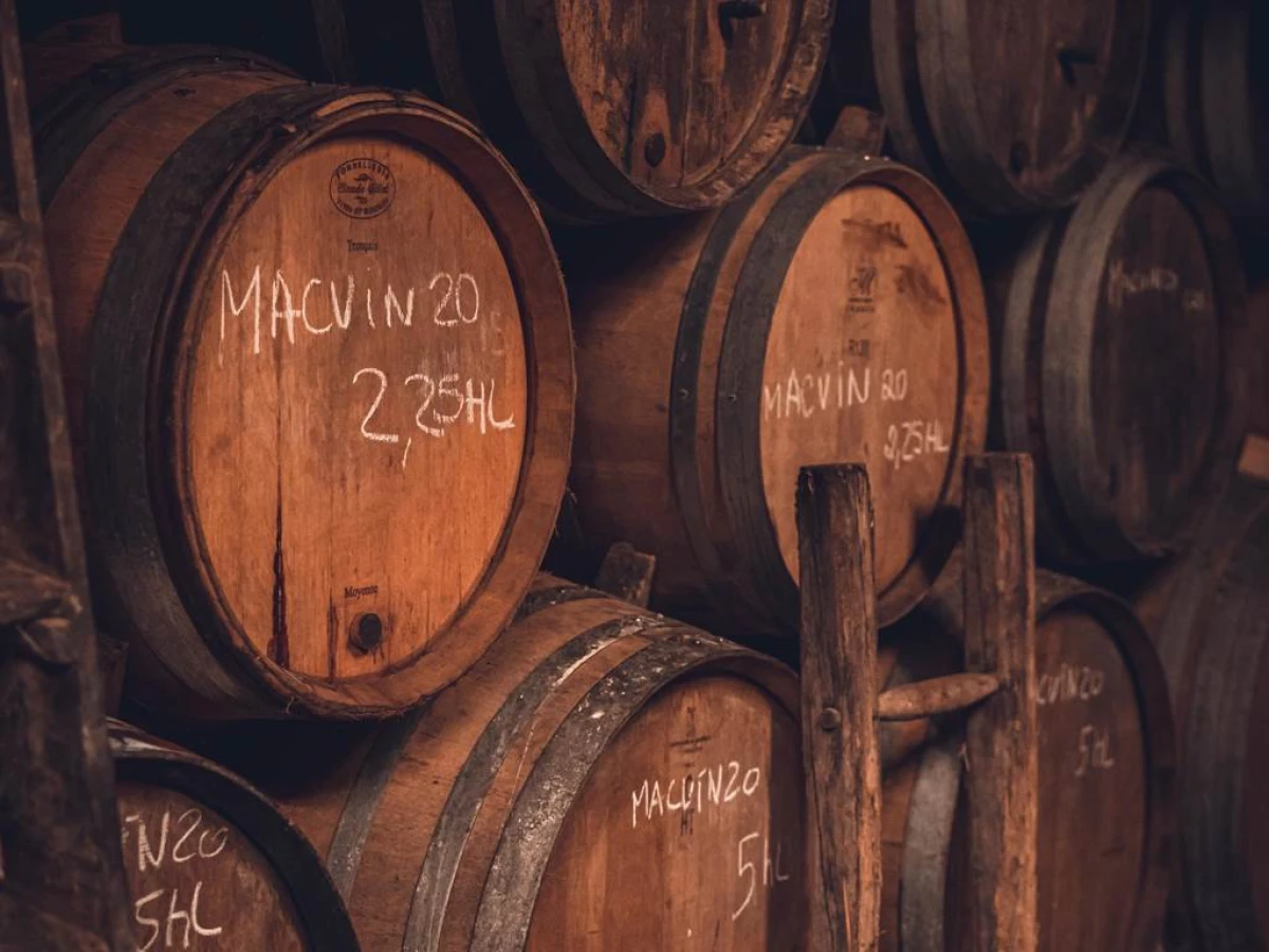 Visite des caves + dégustation - Vignerons Indépendants