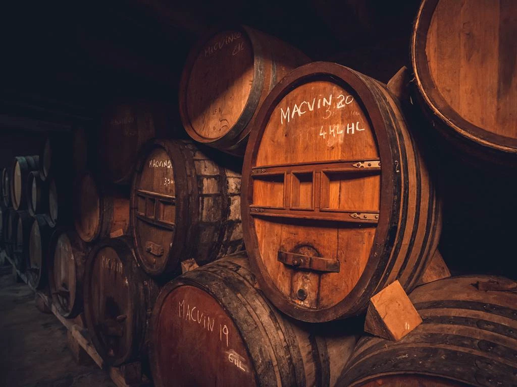 Visite des caves + dégustation - Vignerons Indépendants