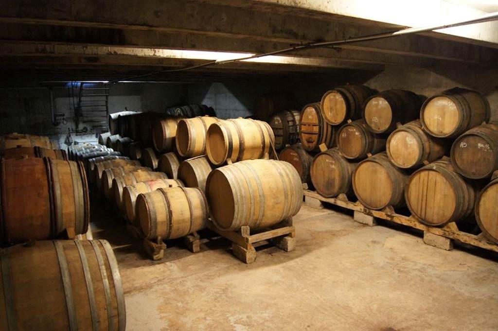 Visite des caves + Dégustation - Vignerons Indépendants