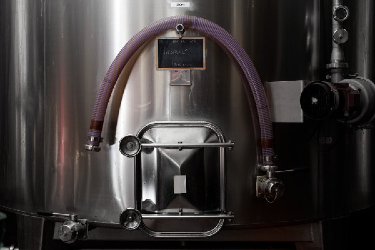 Visite des chais et dégustation - Vignerons Indépendants