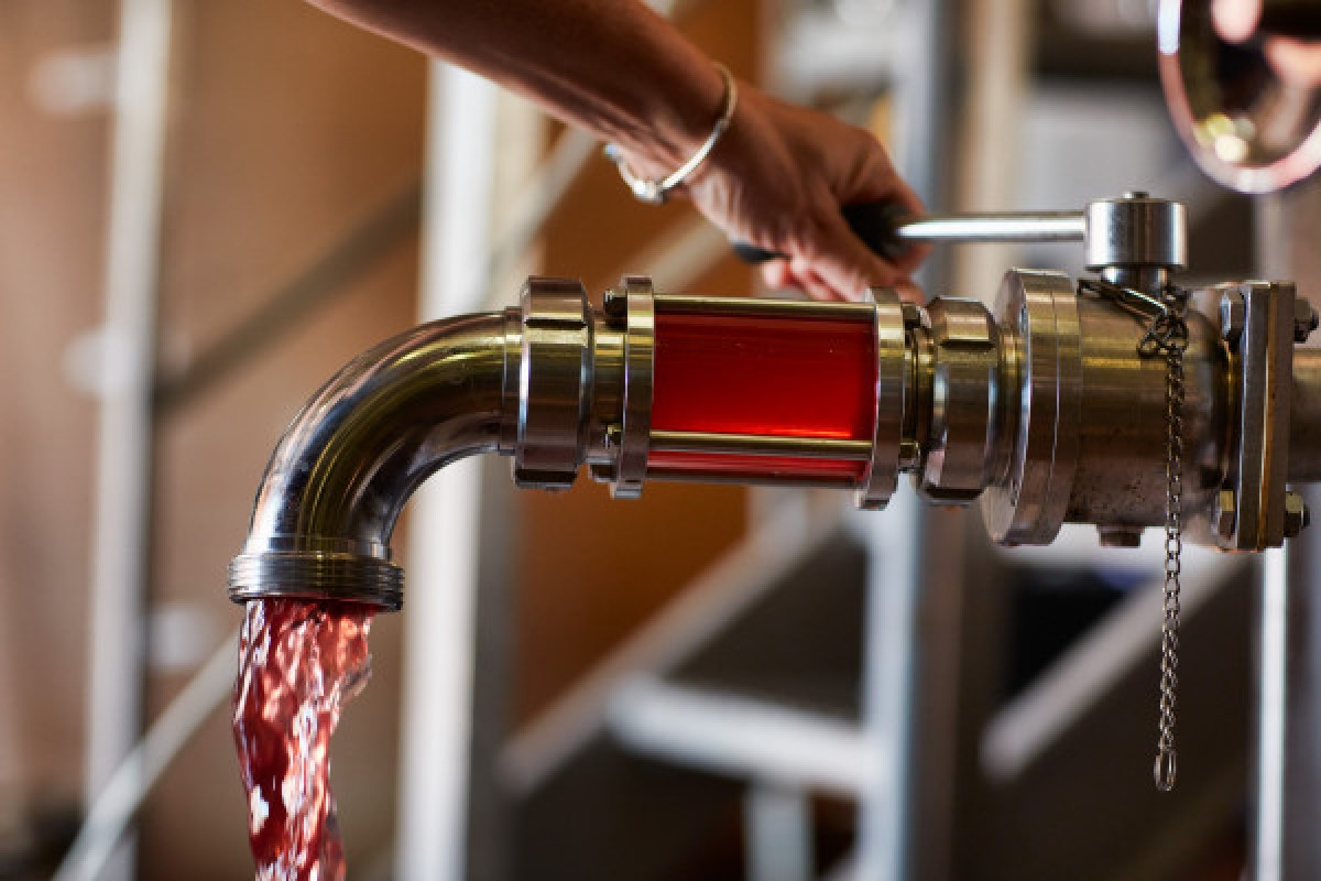 Visite des chais et dégustation - Vignerons Indépendants