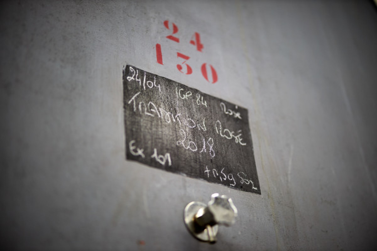 Visite guidée du domaine : de la vigne à la dégustation - Vignerons Indépendants