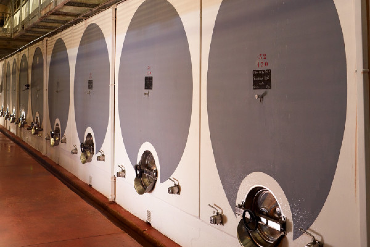 Visite guidée du domaine : de la vigne à la dégustation - Vignerons Indépendants