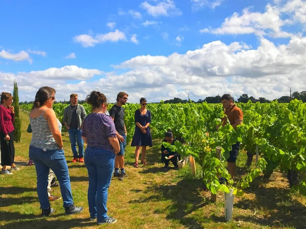 Visite des vignes aux chais - Vignerons Indépendants