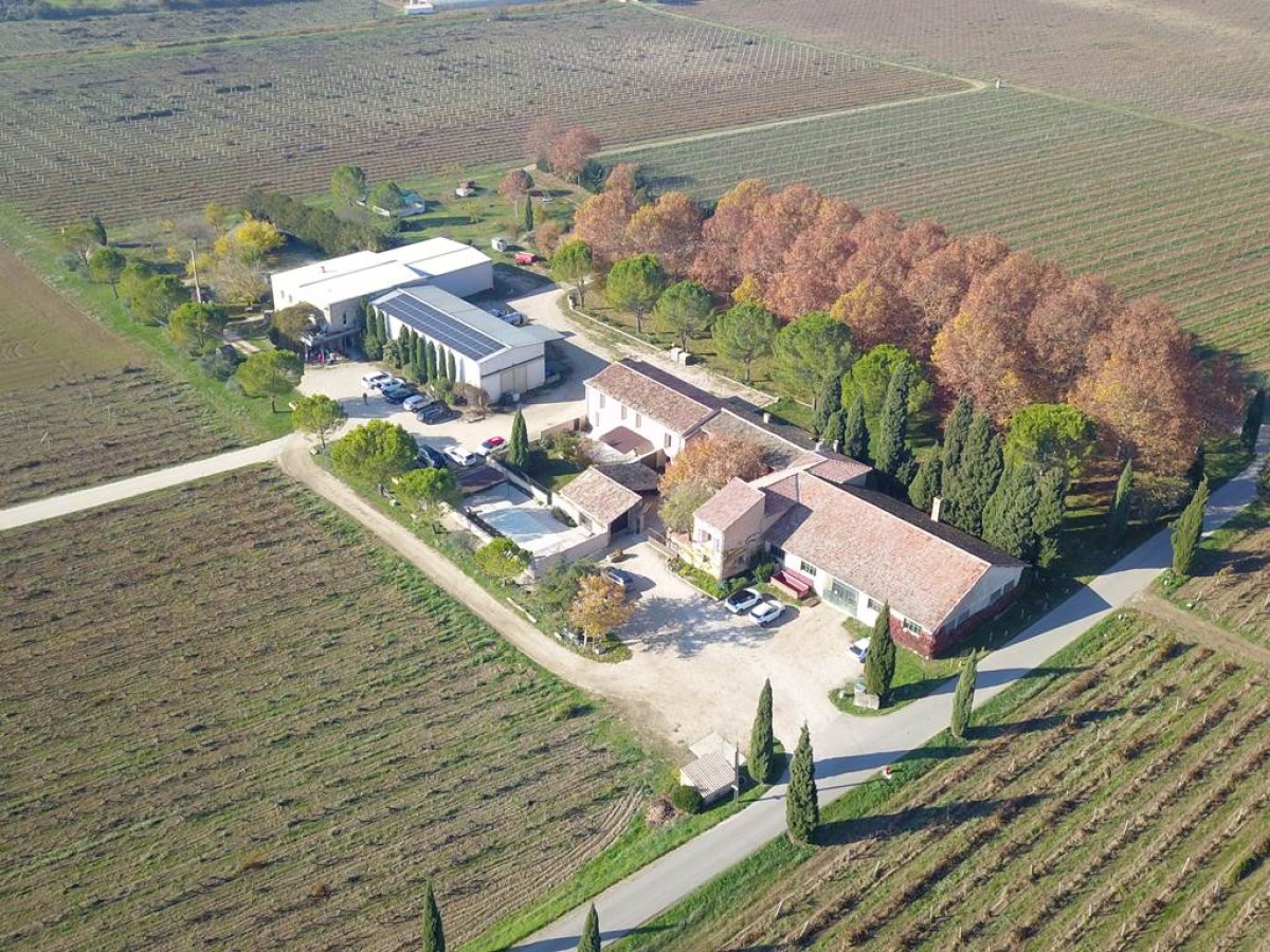 Visite du Chai & Dégustation - Vignerons Indépendants