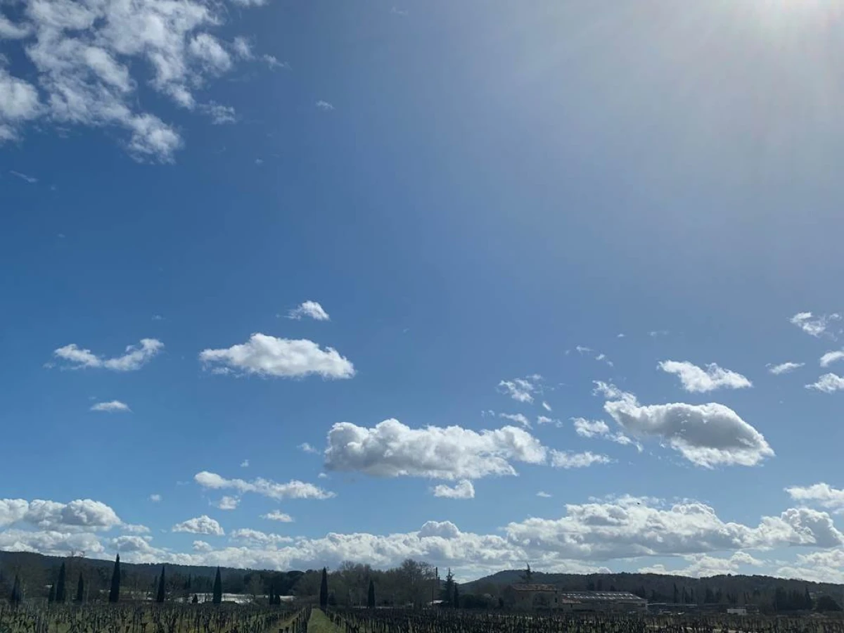 Visite du Chai & Dégustation - Vignerons Indépendants
