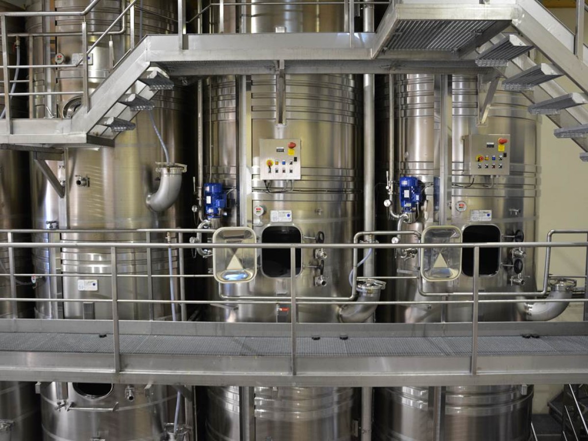 Visite du chai et dégustation avec tartinables - Formule privilège FR/ENG - Vignerons Indépendants