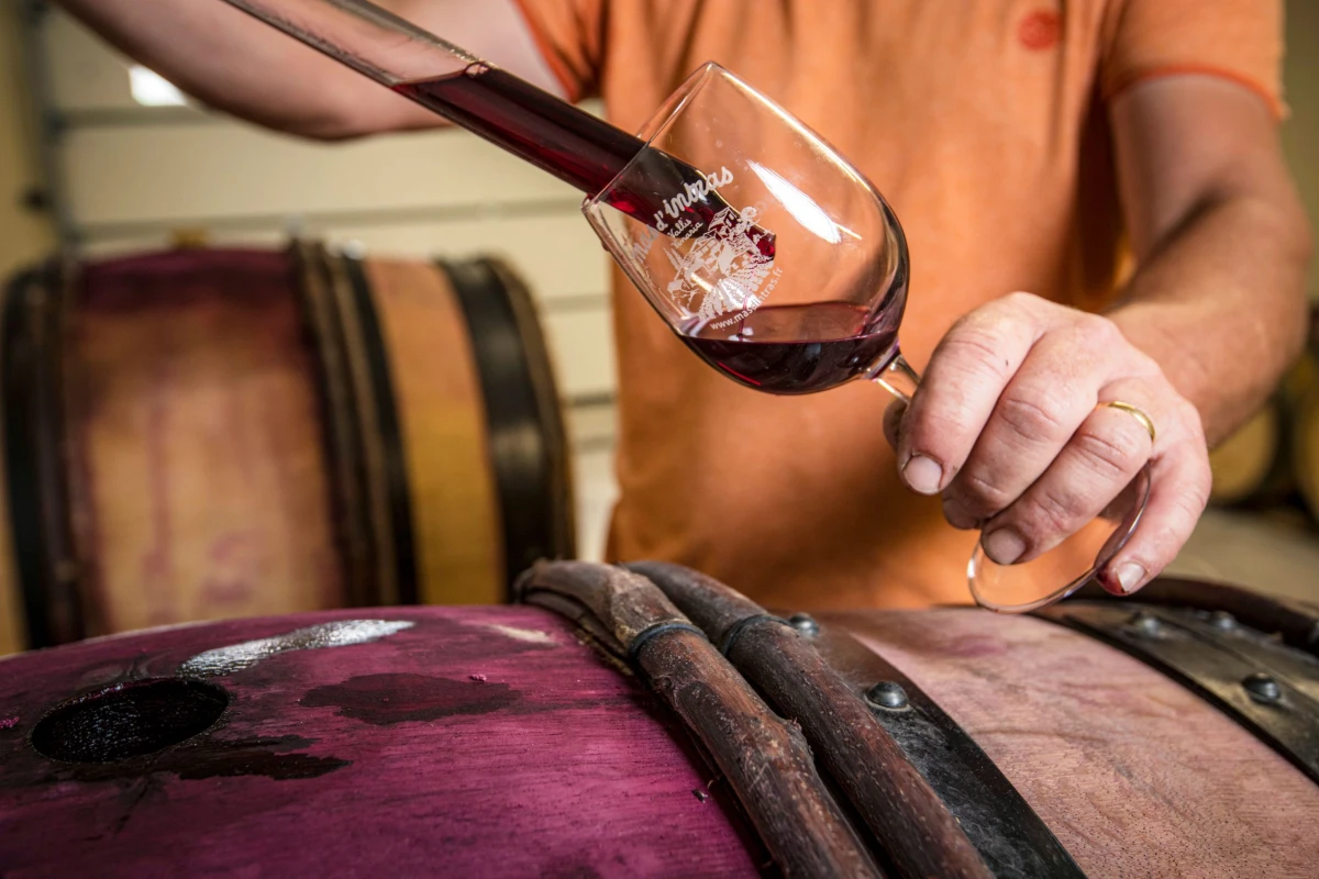 Visite du domaine et dégustation de nos vins bio et nature - Vignerons Indépendants