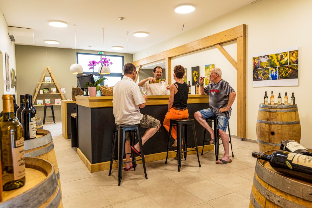 Visite du domaine et dégustation de nos vins bio et nature - Vignerons Indépendants