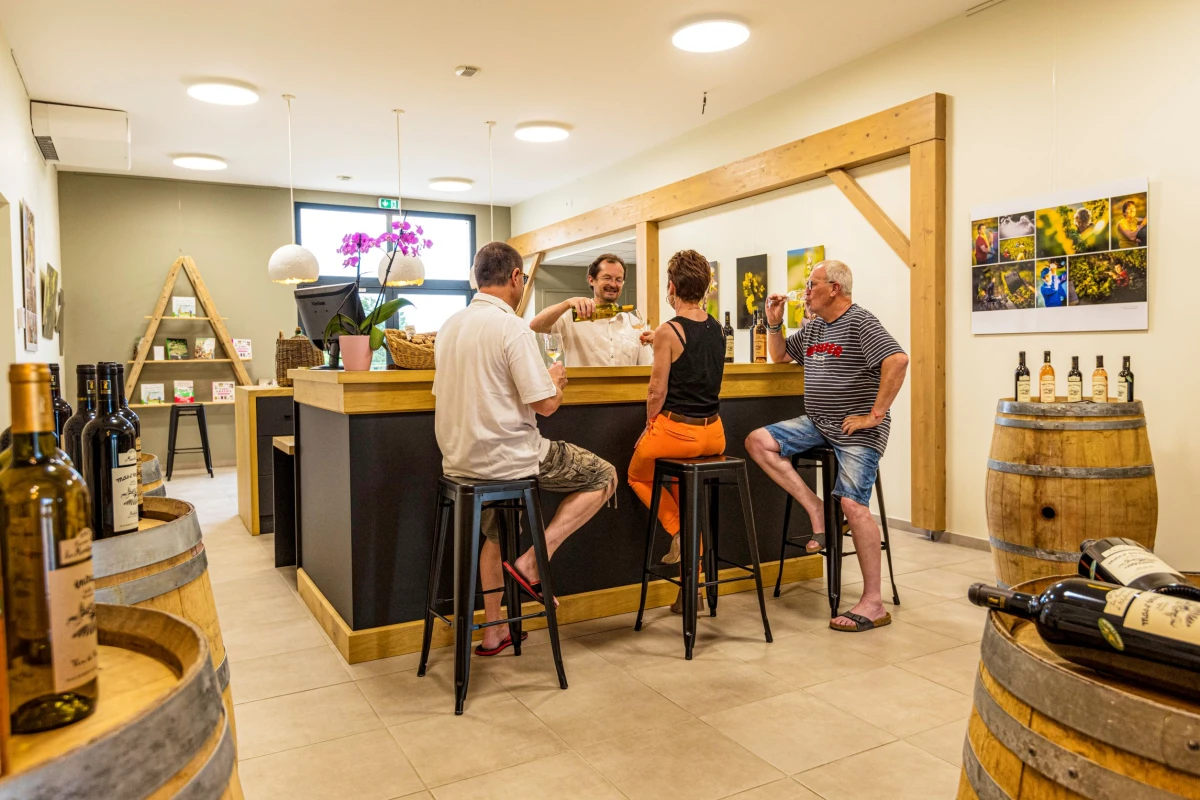Visite du domaine et dégustation de nos vins bio et nature - Vignerons Indépendants