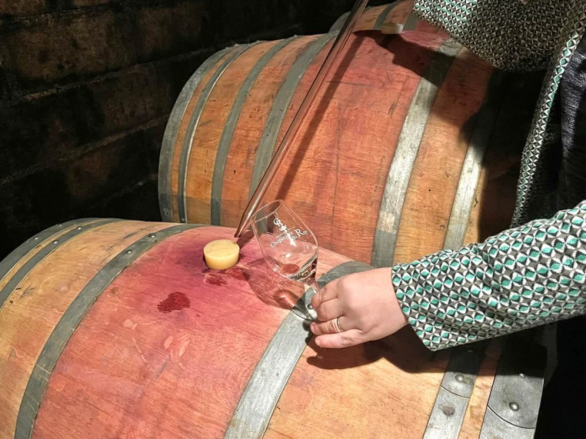 Visite du domaine et histoire de l'appellation - Vignerons Indépendants