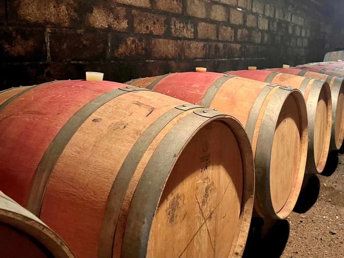 Visite du domaine et histoire de l'appellation - Vignerons Indépendants