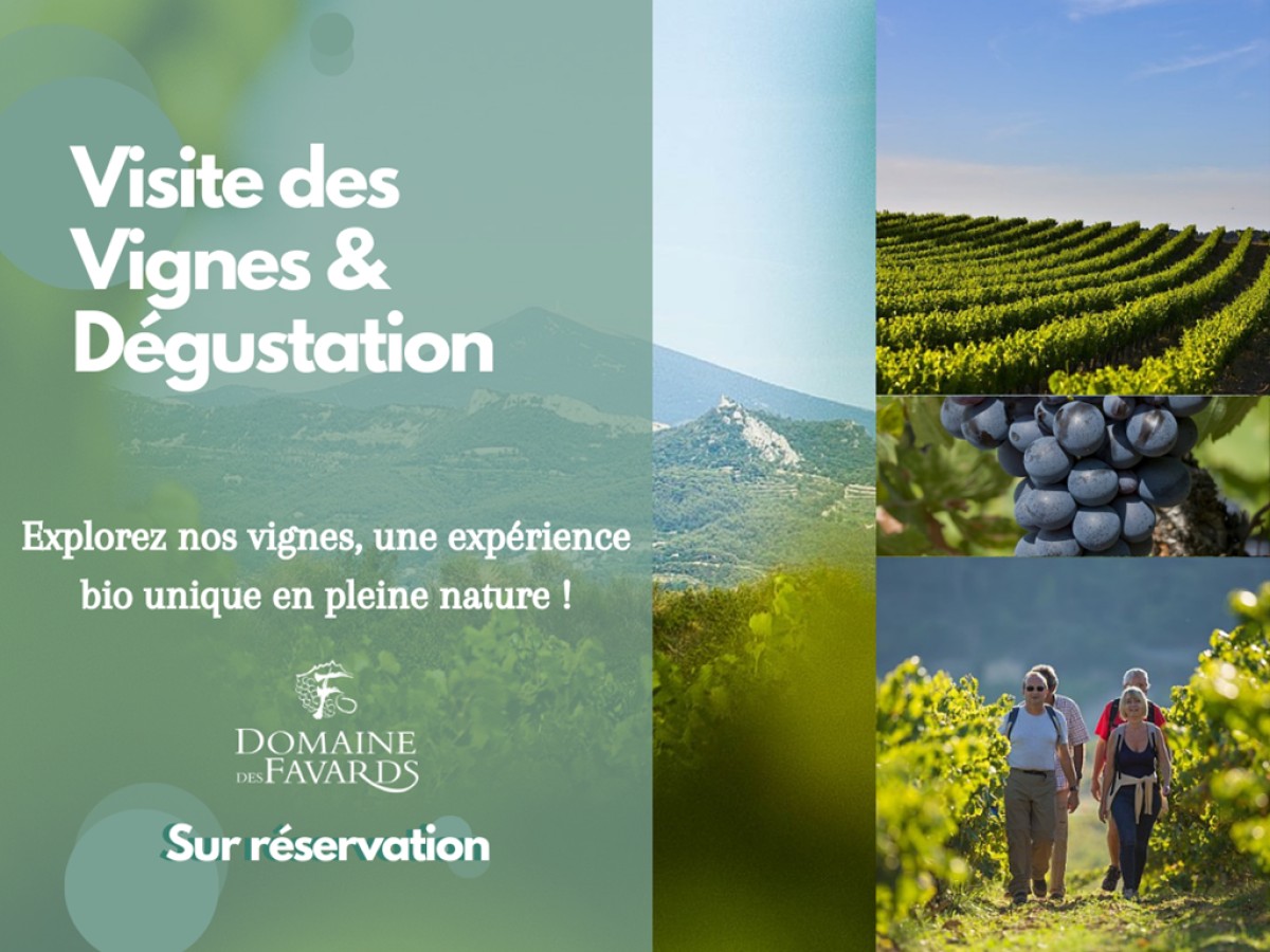 Visite du vignoble (vignes en agriculture biologique) et Dégustation de vin - Vignerons Indépendants