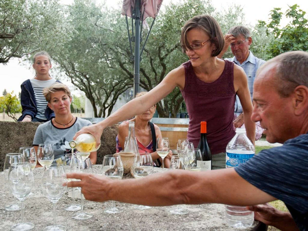Visite du vignoble (vignes en agriculture biologique) et Dégustation de vin - Vignerons Indépendants