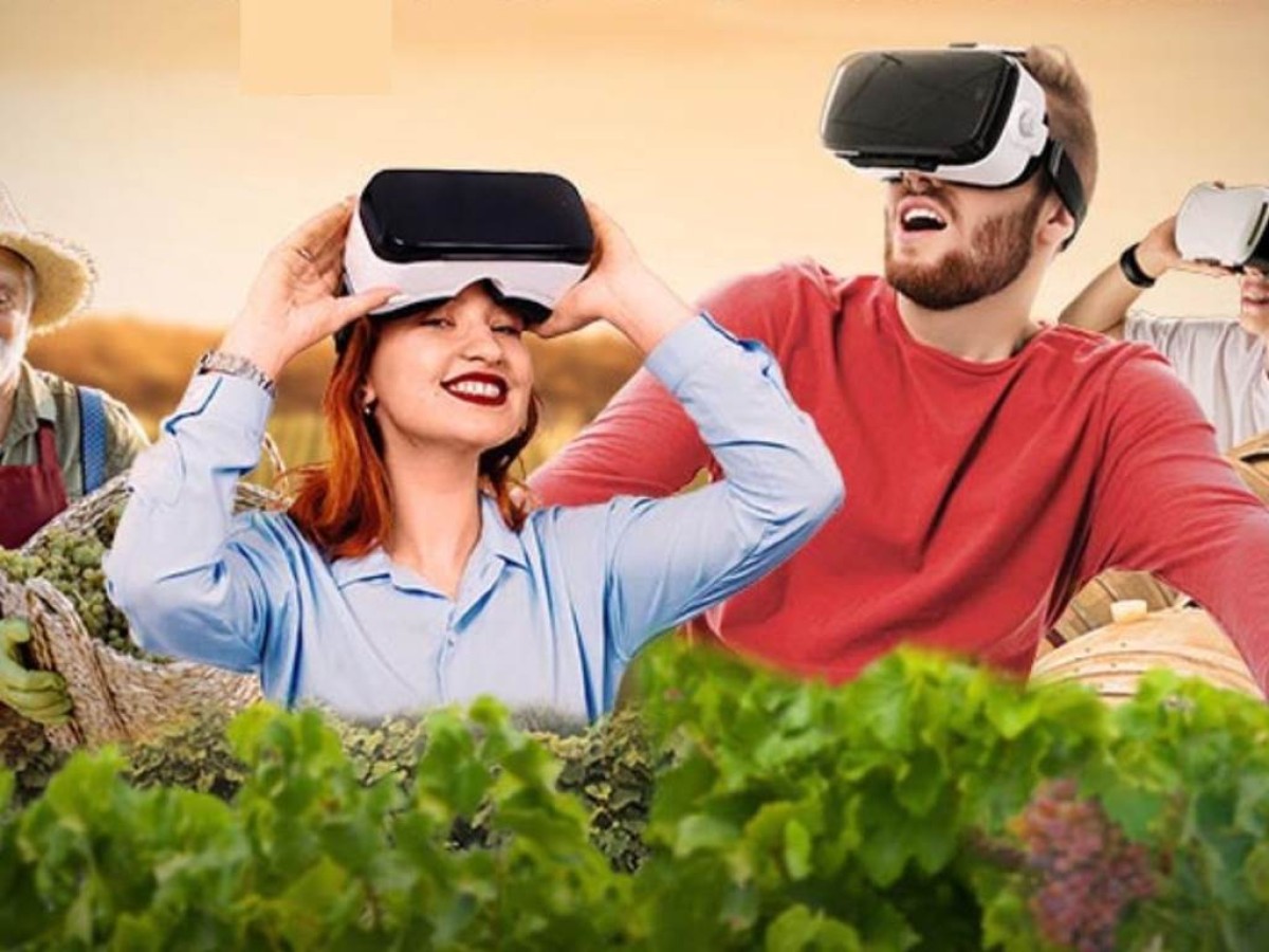 Visite en Réalité Virtuelle "Le Secret des Vignerons" - Vignerons Indépendants