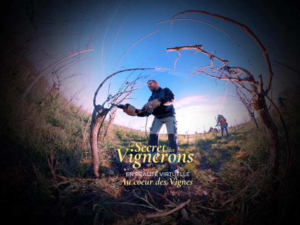 Visite en Réalité Virtuelle "Le Secret des Vignerons" - Vignerons Indépendants