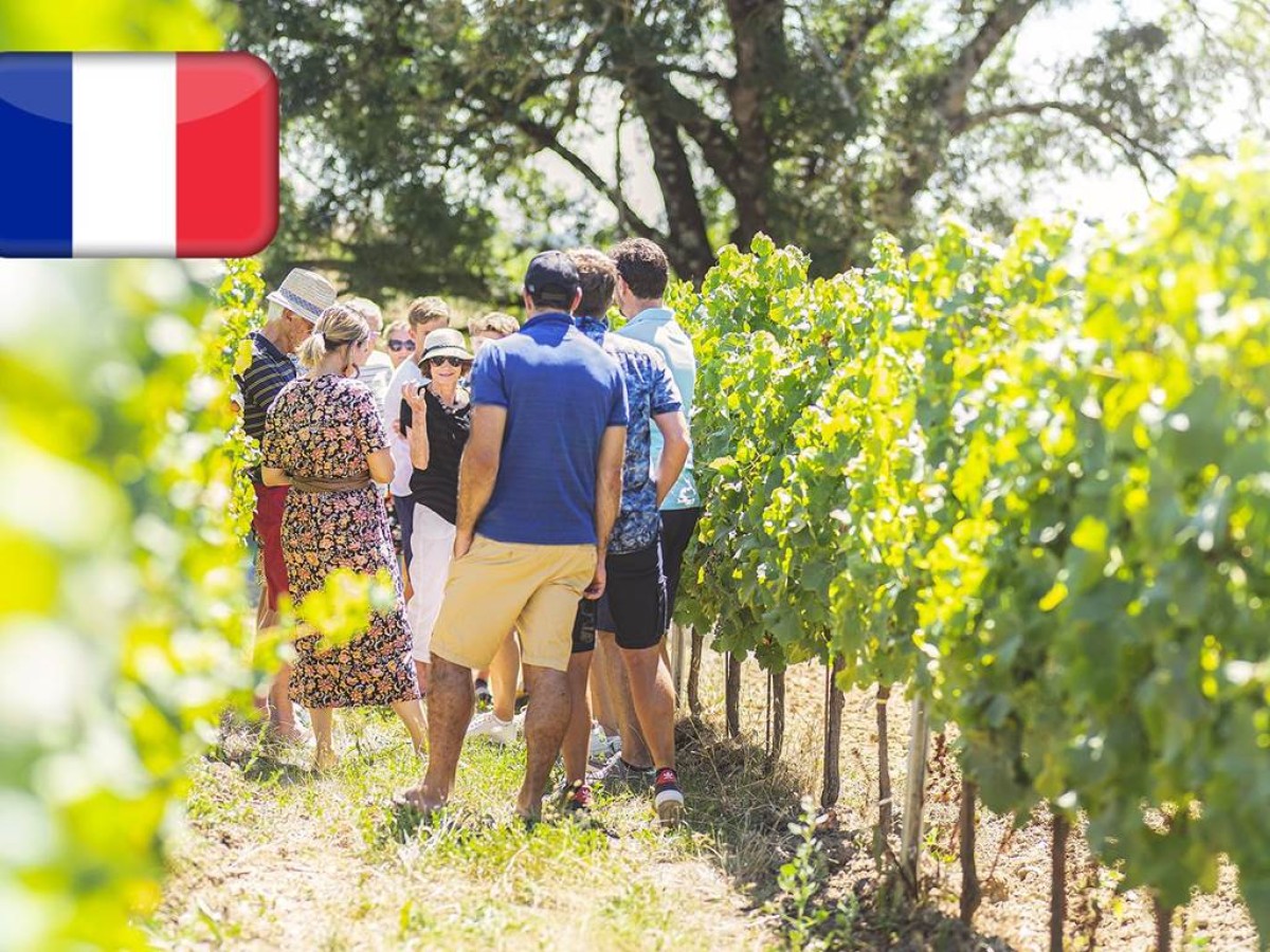 Visite Estivale (en français) - Vignerons Indépendants