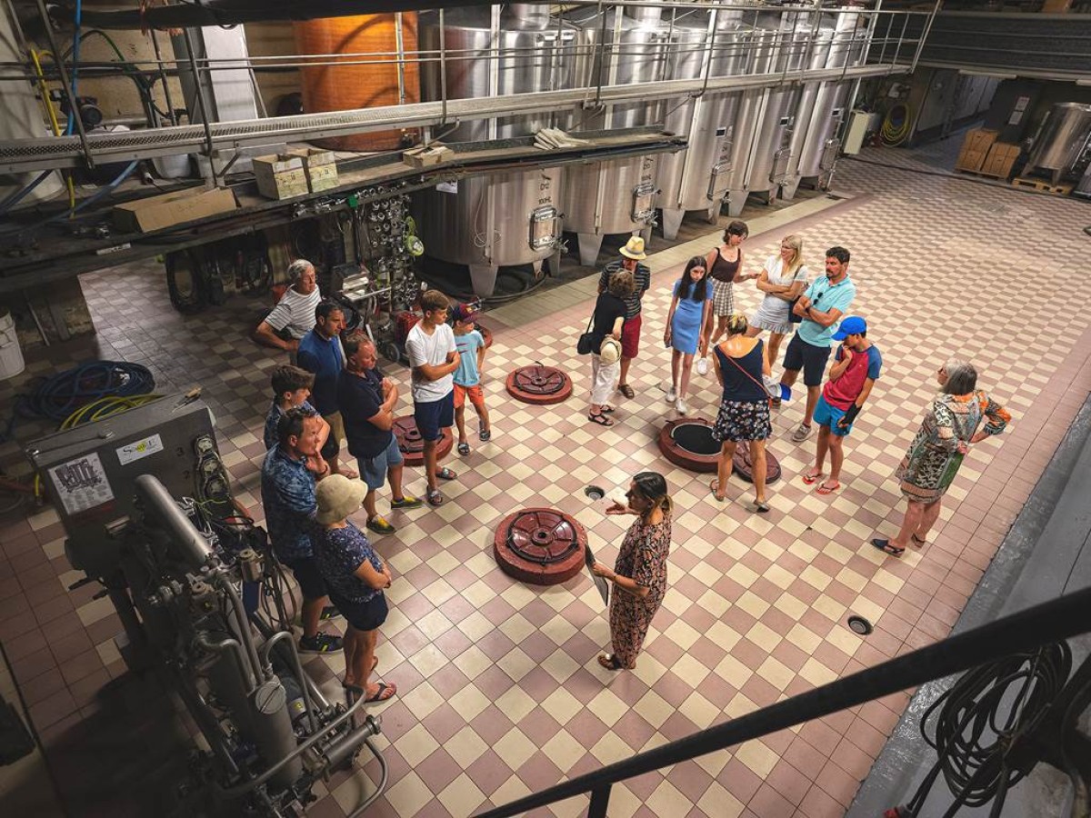 Visite Estivale (en français) - Vignerons Indépendants