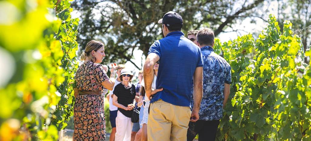 Visite Estivale (en français) - Vignerons Indépendants