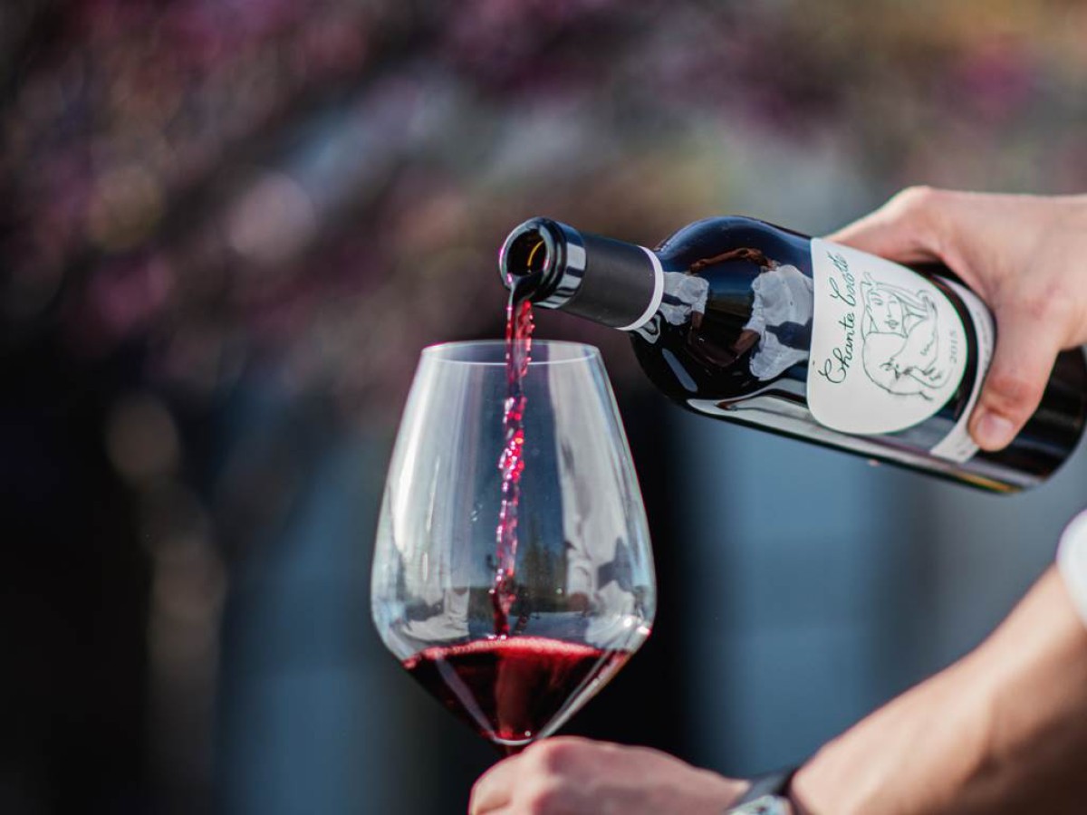 Visite et dégustation au chai - Vignerons Indépendants