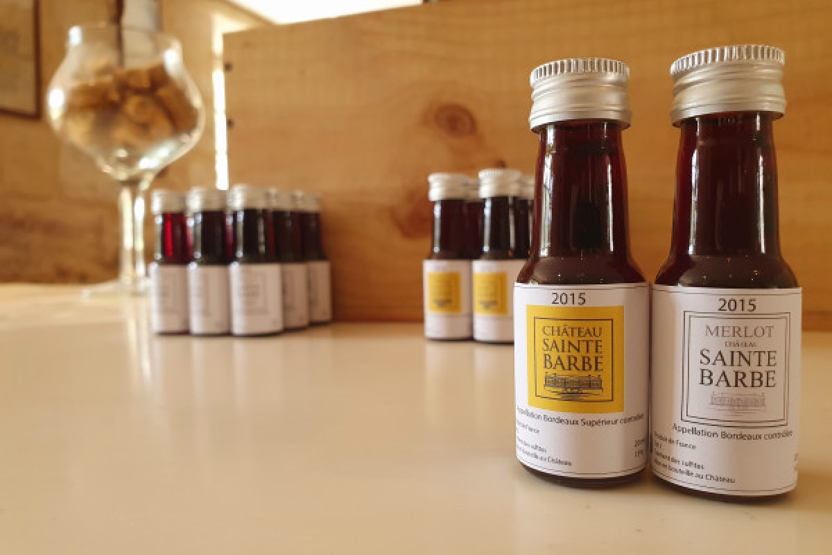 Visite virtuelle de château avec dégustation de vin en direct - Vignerons Indépendants