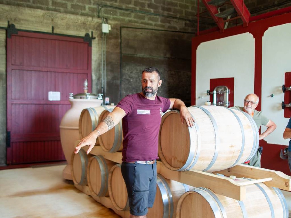 Visite et Dégustation de 3 vins - Vignerons Indépendants