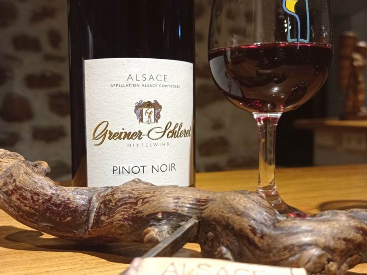 Visite et dégustation de 5 vins - Vignerons Indépendants