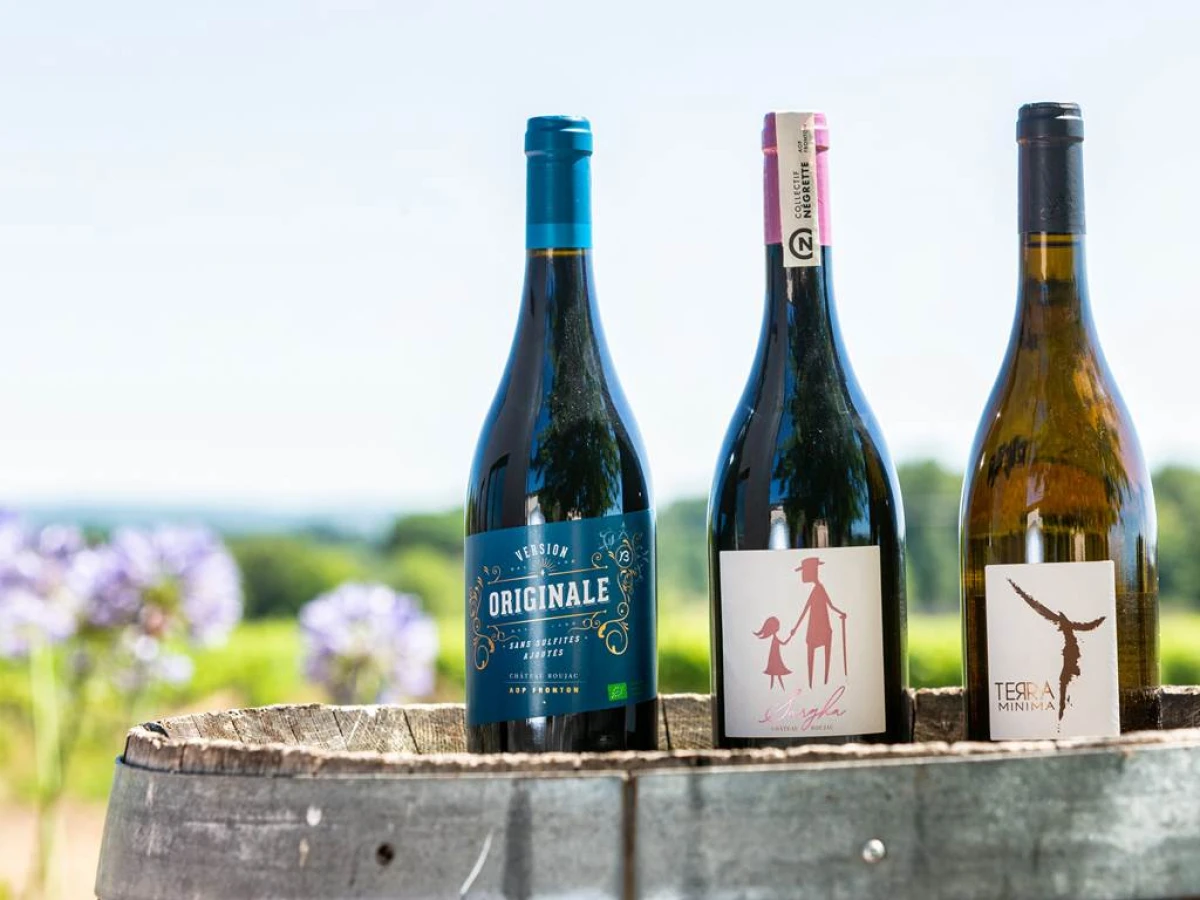 Visite et dégustation gourmande - Vignerons Indépendants