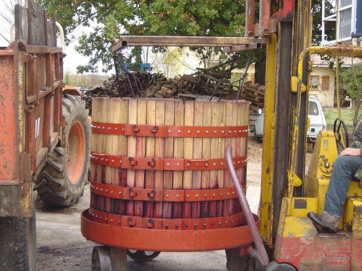 Visite et dégustation vins-fromages - Vignerons Indépendants