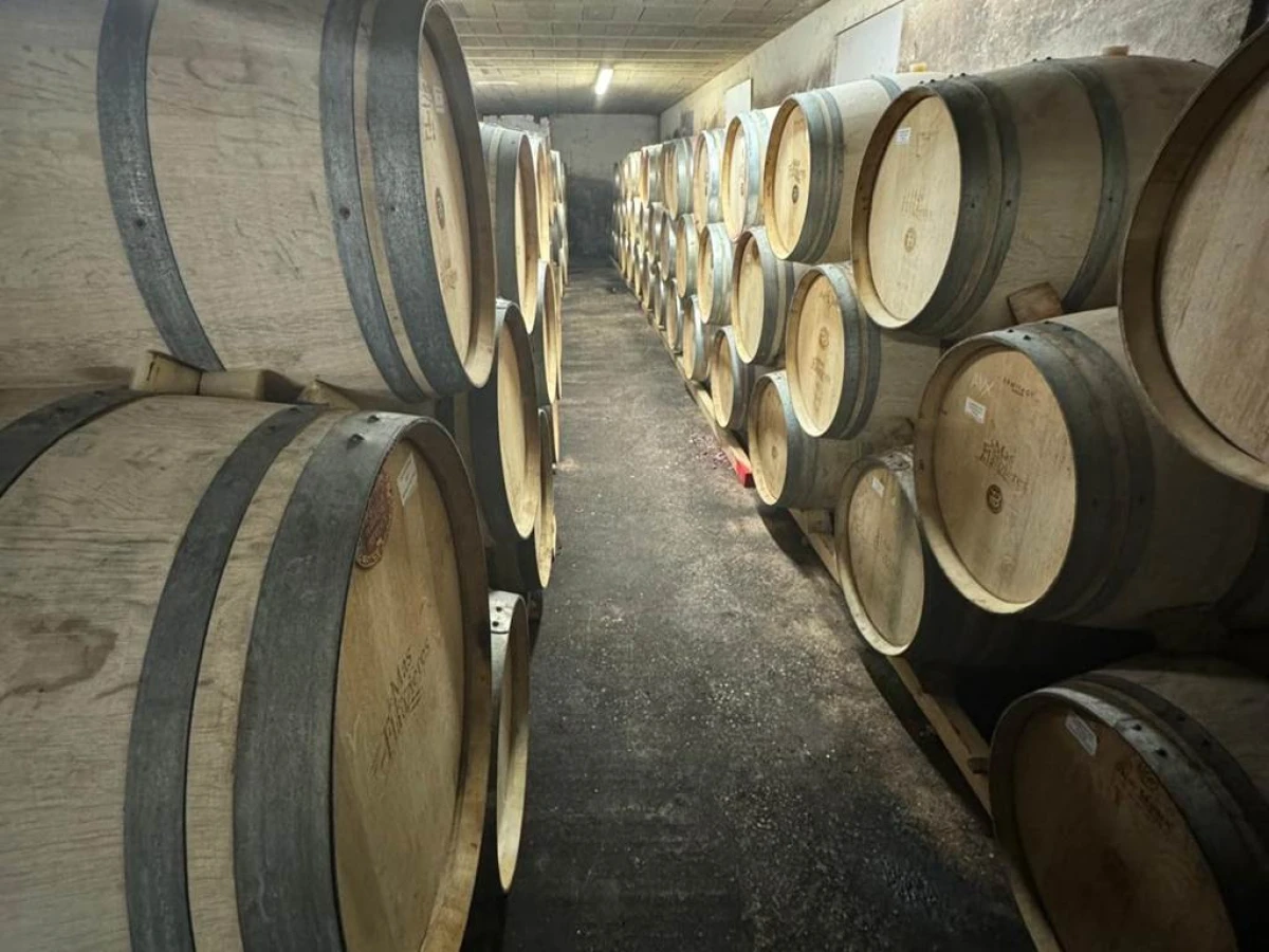 Visite et Dégustation - Vignerons Indépendants