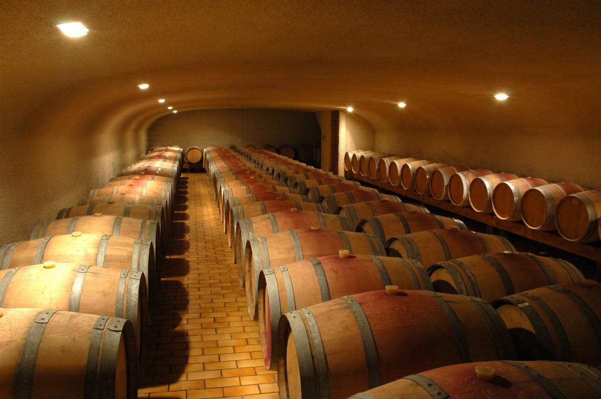 Visite guidée des vignes et chais, dégustation commentée de 5 vins- durée 45 min - Vignerons Indépendants